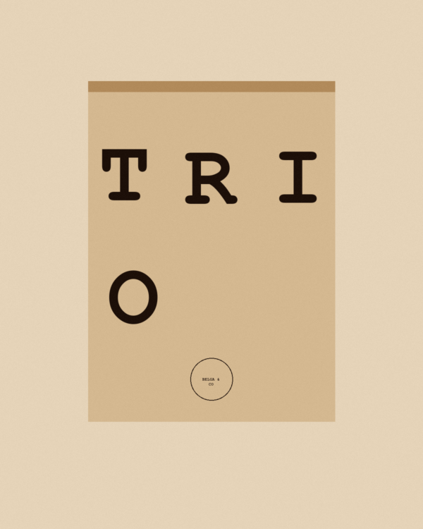 Discovery Box — Filter Trio